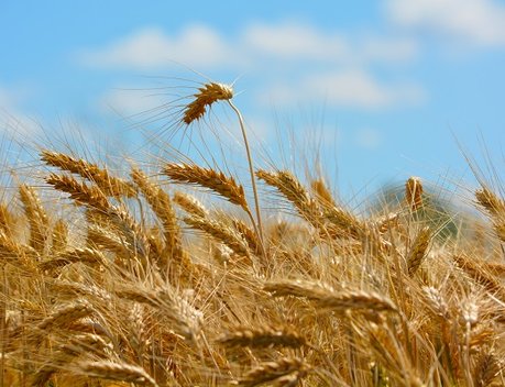 Российско-Саудовский форум GRAS