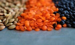 Дмитрий Патрушев: Товарооборот сельхозпродукции между Россией и Индией в 2024 году увеличился более чем на 60 %