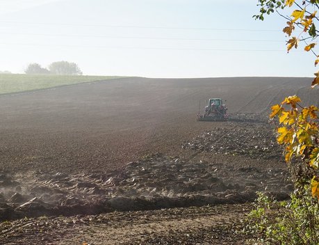 Кубанские аграрии уже засеяли озимыми культурами больше 833 тыс. гектаров