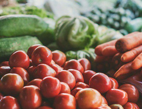 Подмосковье увеличит производство растениеводческой продукции на 25 % к 2030 году