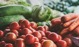 Подмосковье увеличит производство растениеводческой продукции на 25 % к 2030 году