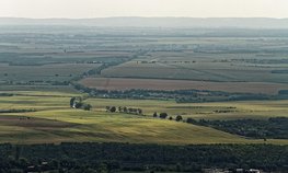 Более 80 проектов по агролесо- и фитомелиорации реализовано в рамках госпрограммы «Земля»