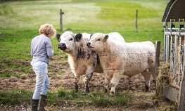 От школьной скамьи до реального сектора: Минсельхоз России выстраивает непрерывную цепочку подготовки кадров для АПК