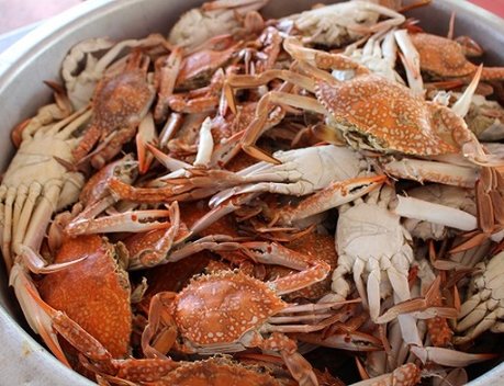 «Агроэкспорт»: выручка за экспорт ракообразных в октябре обновила годовой максимум