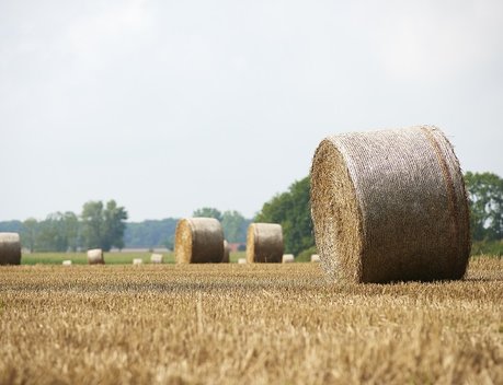 В ЕГРН внесут информацию о границах сельхозугодий