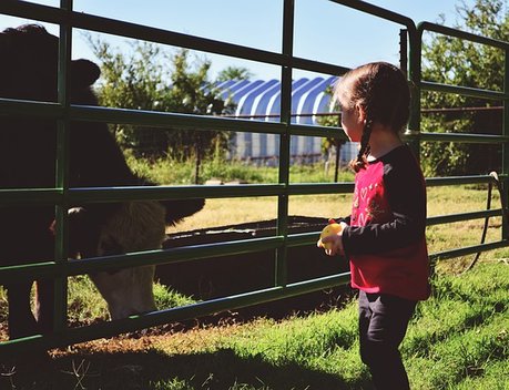 Город профессий АПК «Я в Агро» возвращается в «Тимирязев Центр»