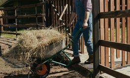 Более 60 участников и ветеранов СВО получили грант «Агромотиватор» в 2025 году