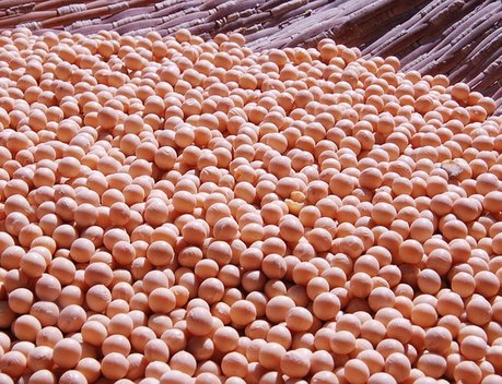 Дмитрий Патрушев и губернатор Амурской области Василий Орлов обсудили развитие сельского хозяйства и вопросы экологии региона