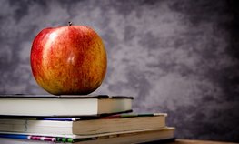 Сенатор Мурог рассказал о господдержке агрошкол