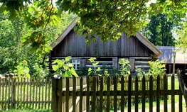 Аграриям в ДНР выделят более 905 млн рублей субсидий