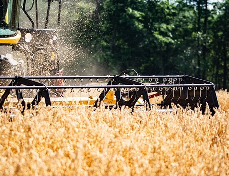 Итоги работы АПК и технологическое развитие отрасли обсудили на заседании аграрного комитета Госдумы