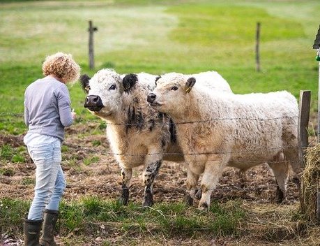 В Госдуму внесли законопроект о господдержке для агрошкол