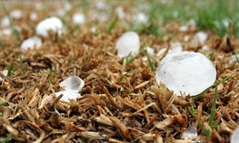 В Кабардино-Балкарии на защиту сельхозугодий от града будет направлено 40 млн рублей