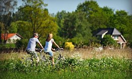 Более 480 млн рублей планируют направить в Вологодской области на комплексное развитие сельских территорий