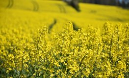 Оксана Лут ознакомилась с аграрным потенциалом Липецкой области