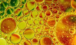 РФ с сентября по февраль снизила экспорт подсолнечного масла на 14 %