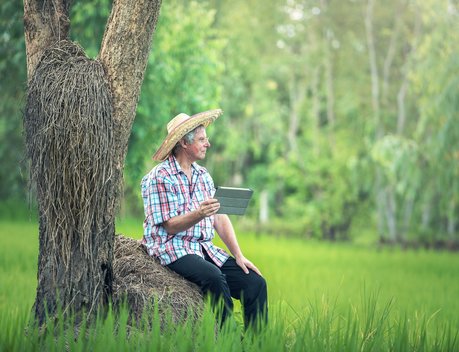 В Тимирязев центре обсудили внедрение отечественных ИТ-решений в агропромышленном комплексе