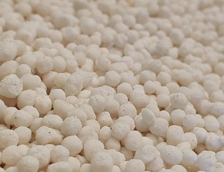 Россия и Казахстан наращивают торговлю продукцией АПК