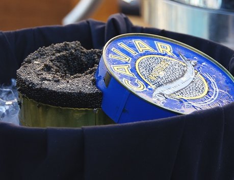 Росрыболовство рассчитывает открыть промысел осетровых в Азовском море