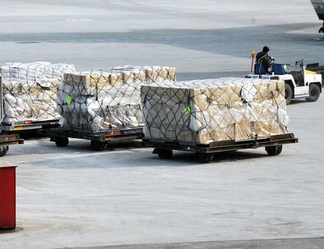 Объем экспорта продукции АПК в Башкортостане превысил 132 тыс. тонн