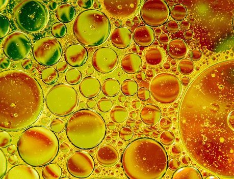 Кабмин повысил базовые экспортные цены на подсолнечное масло