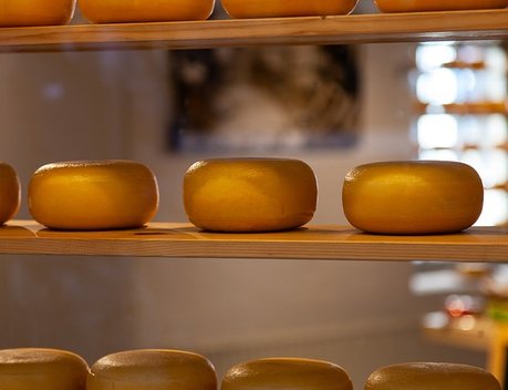 «Союзмолоко»: запасы сыров на складах в РФ в I квартале выросли на 21 %