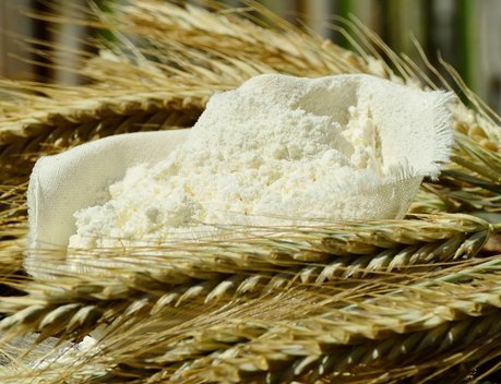 Тамбовский губернатор доложил Путину о продвижении в переработке сельхозпродукции