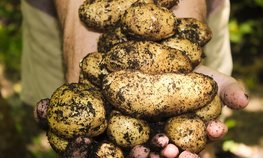 Оксана Лут и Егор Ковальчук обсудили развитие АПК Брянской области