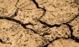 Во Франции заявили о серьезном ущербе сельскому хозяйству из-за жары