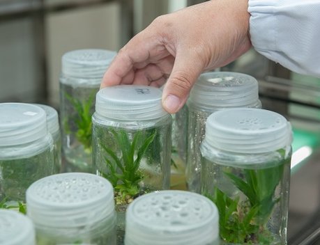 Оксана Лут рассказала о развитии агротехнологического образования на форуме в Тимирязев Центре