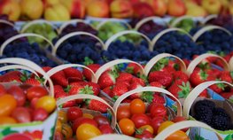 Оксана Лут посетила Национальный гастрономический фестиваль «Вкусы России»
