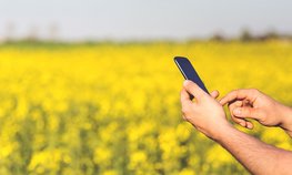 В Южном федеральном округе развивают современные цифровые решения для АПК