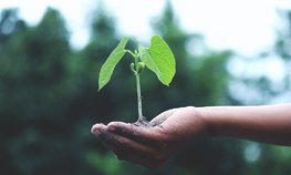 Россия с начала года нарастила экспорт всех видов удобрений в Индию на 20 %