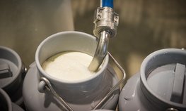 Почти на 18 % выросло производство питьевого молока в Липецкой области