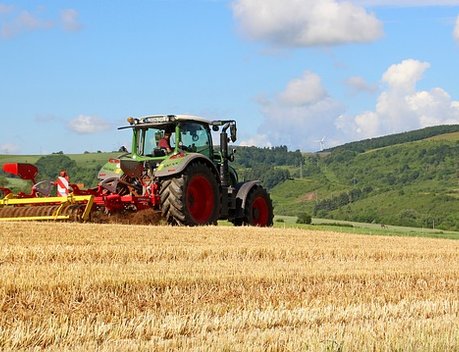 В 2023 году в новых регионах урожайность зерновых культур выросла на 27 %
