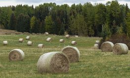 В Тамбовской области ввели мораторий на приватизацию сельхозземель до 2050 года