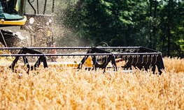 Предварительные итоги сезонных полевых работ обсудили на оперштабе в Правительстве России