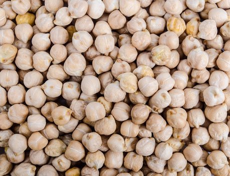 В Волгоградской области в 2025 году собран рекордный урожай зернобобовых культур