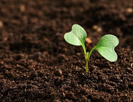 Развитие системы агрострахования с господдержкой обсудили на XXV ежегодной конференции об инвестициях в АПК