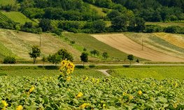 Минсельхоз подключат к оценке вреда, причиненного угодьям