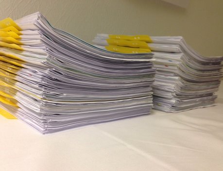 Оксана Лут и Алексей Гордеев обсудили приоритетные законодательные инициативы в сфере АПК на 2026 год