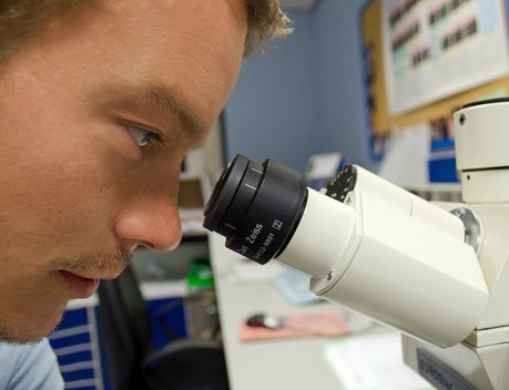 РФ планирует к 2030 году вдвое снизить импортозависимость по критическим биокомпонентам