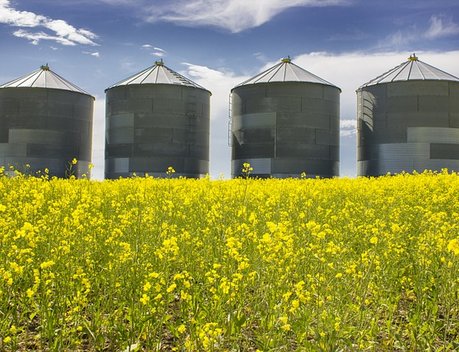 В Челябинской области расширяются мощности хранения зерна