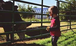 Переводить земли под сельский туризм станет проще