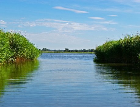 В Росрыболовстве сообщили, что запрет на вылов воблы могут продлить на 2027 год