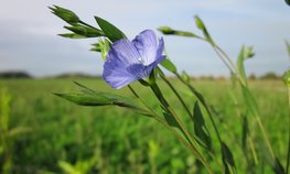 Дмитрий Патрушев посетил с рабочей поездкой Смоленскую область