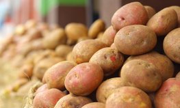 Россия ограничила ввоз баклажанов, картофеля и сухофруктов из Армении