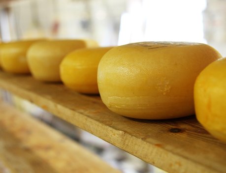 «Союзмолоко» прогнозирует рост экспорта молочной продукции до 15 % в 2026 году